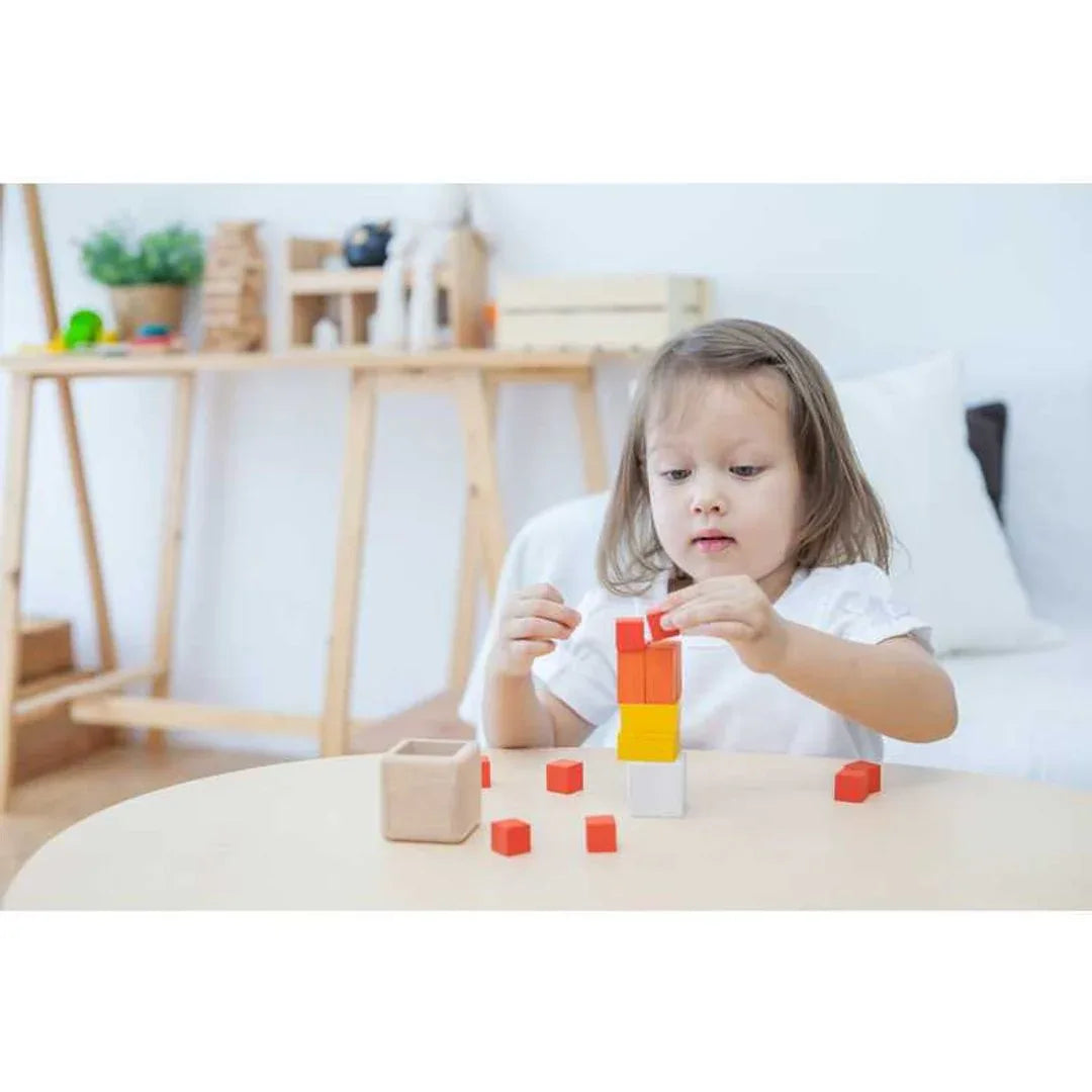 Fraction Cubes - BIG FRENCHIES