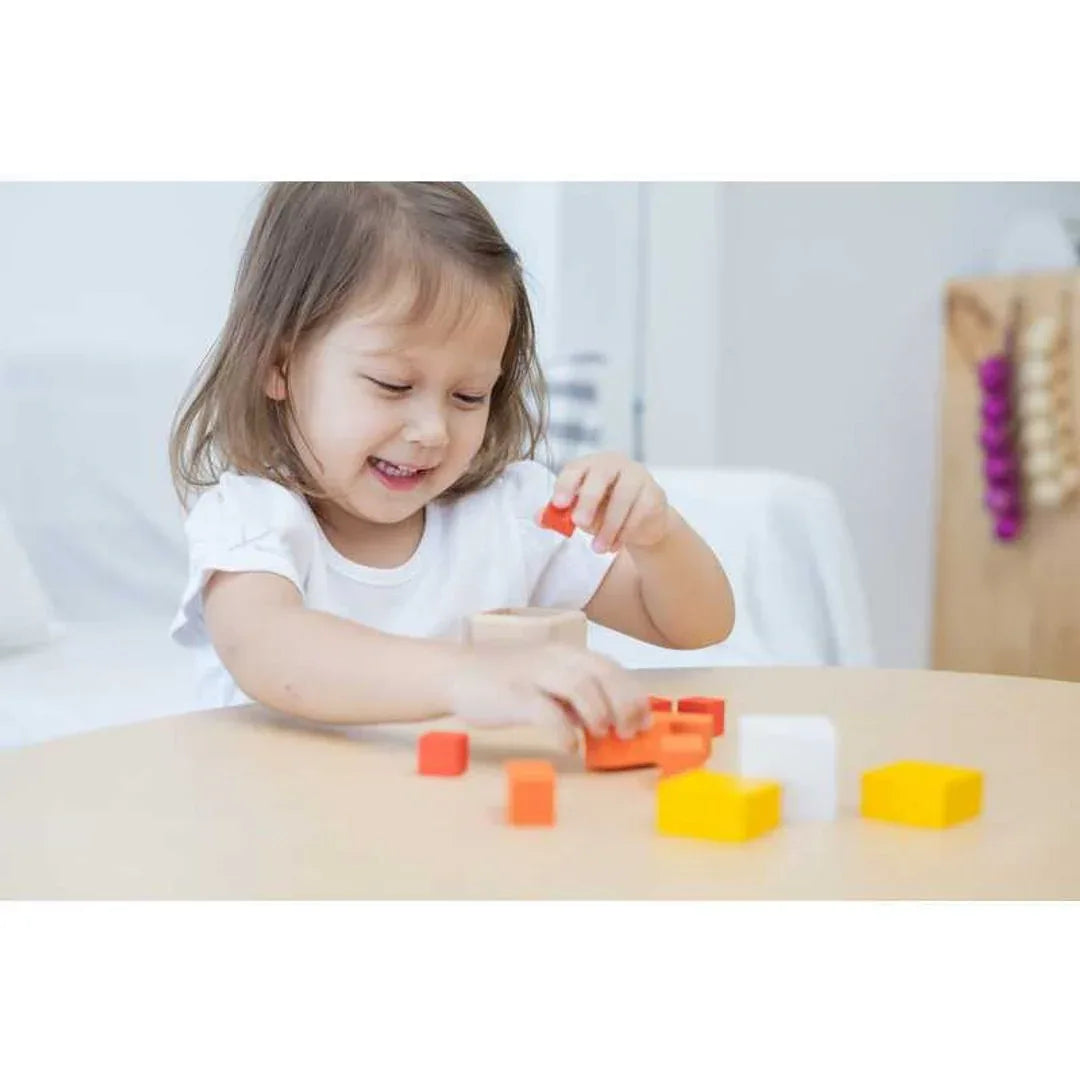 Fraction Cubes - BIG FRENCHIES