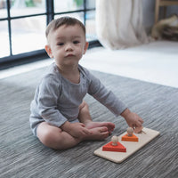 Triangle Matching Puzzle - BIG FRENCHIES