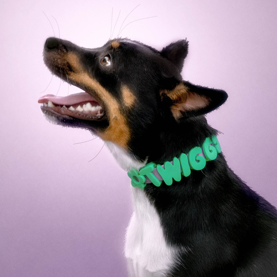 Waterproof Dog Collar - BIG FRENCHIES