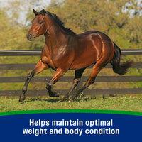 Farnam Equine Weight Builder 7.5 lbs Weight Support Supplement for Horses
