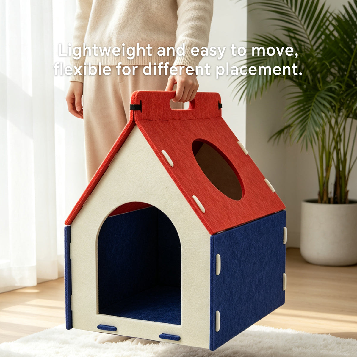 Cat Carrying A House