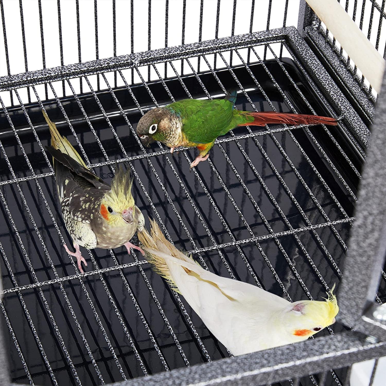41.5" Stackable Divided Breeder for Bird - BIG FRENCHIES