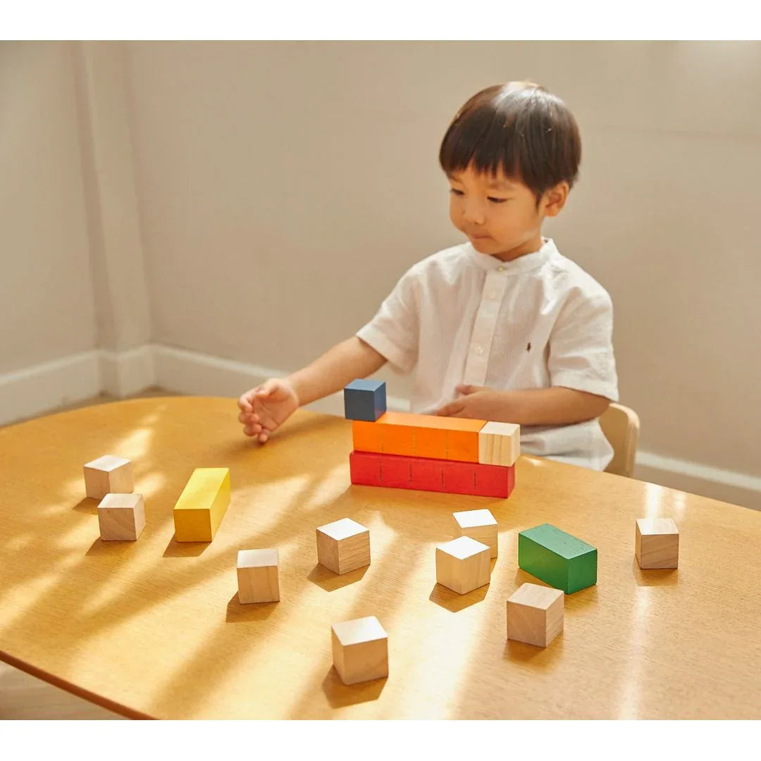 Colored Counting Blocks - Unit Plus - BIG FRENCHIES
