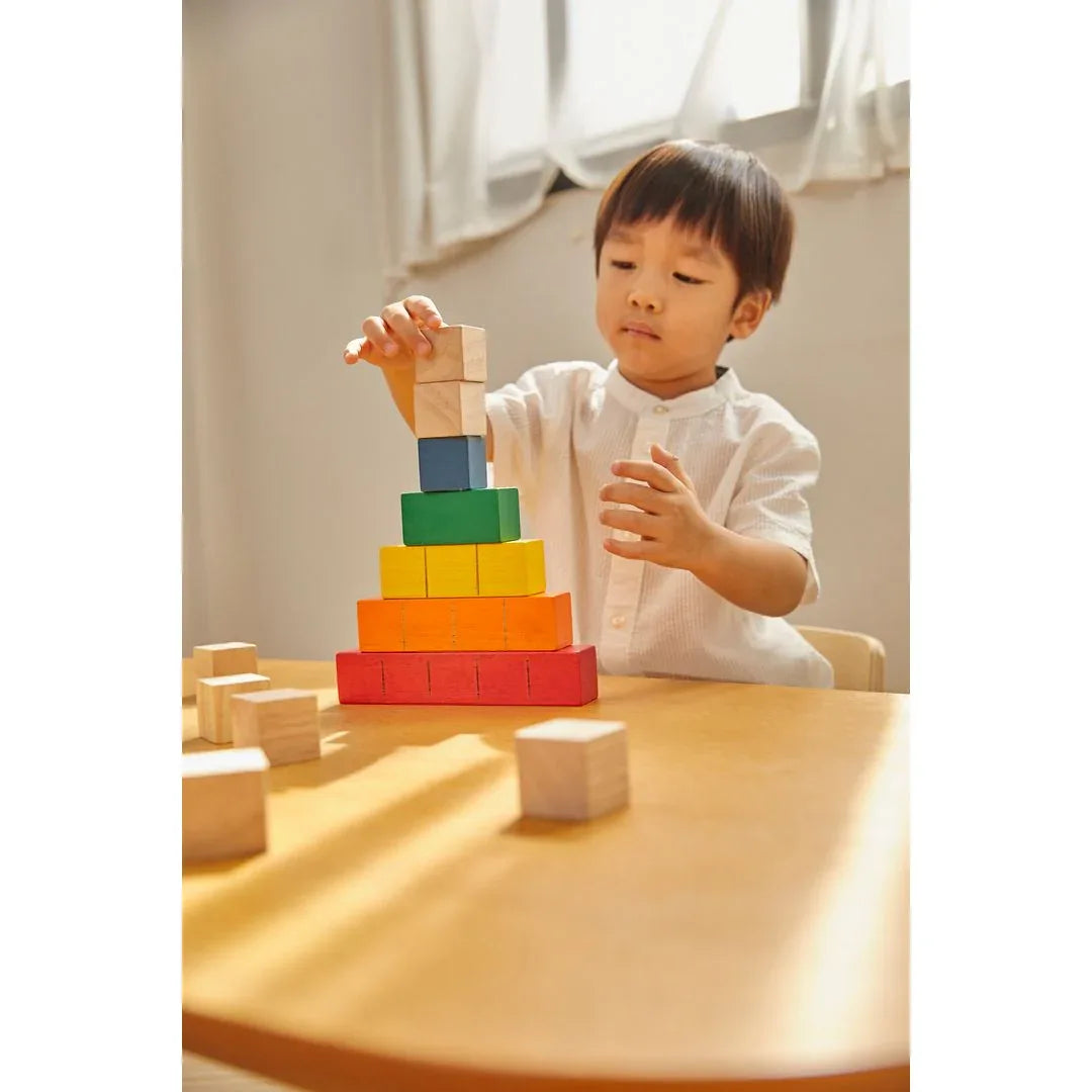 Colored Counting Blocks - Unit Plus - BIG FRENCHIES