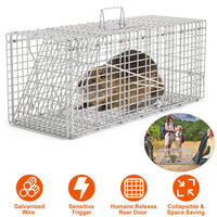 Humane Animal Trap Cage (30.51x11.02x11.81in) - Galvanized Sturdy Wire Mesh, Sensitive Trigger & Dual Doors, Handle Guar