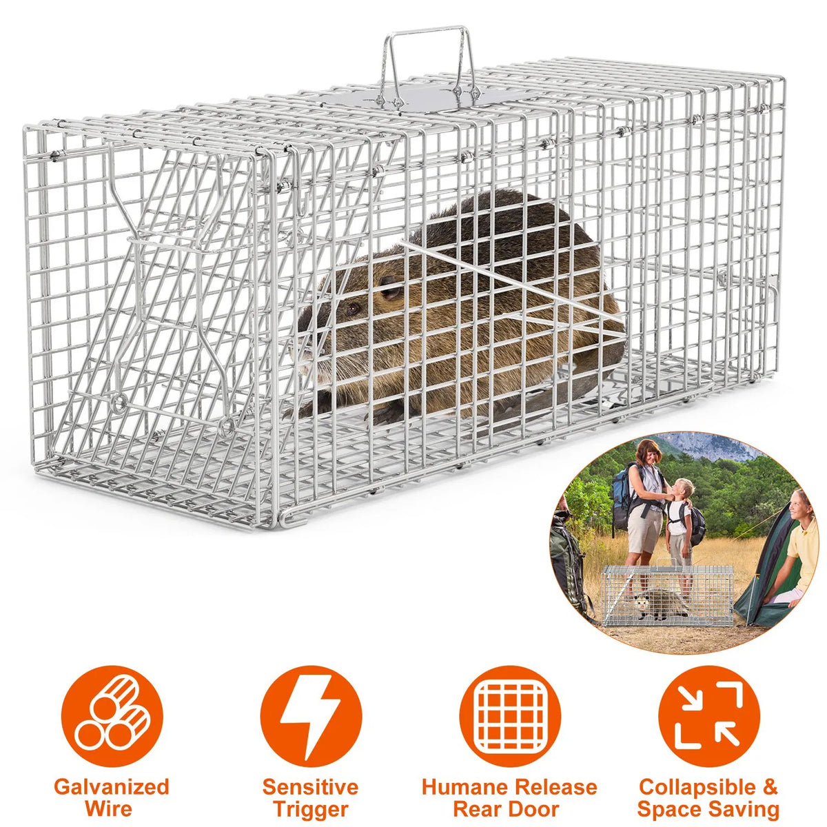 Humane Animal Trap Cage (30.51x11.02x11.81in) - Galvanized Sturdy Wire Mesh, Sensitive Trigger & Dual Doors, Handle Guar