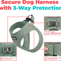 Dog Vest Harness Moss Green Medium