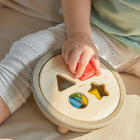 Shape Sorting Bowl - BIG FRENCHIES