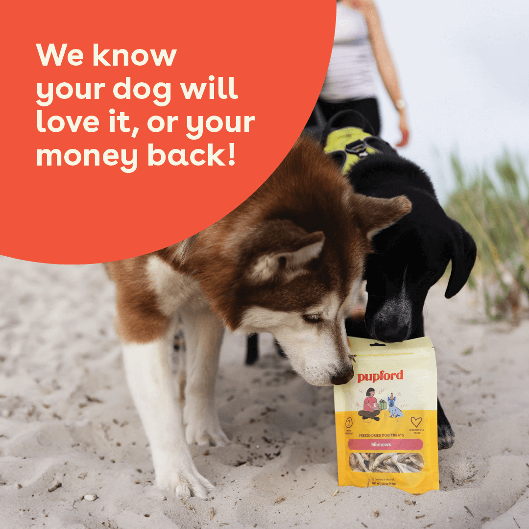 Pupford Freeze Dried Minnows Single-Ingredient Dog Treats, 1.5 oz, Pack of 11