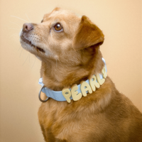 Waterproof Dog Collar - BIG FRENCHIES