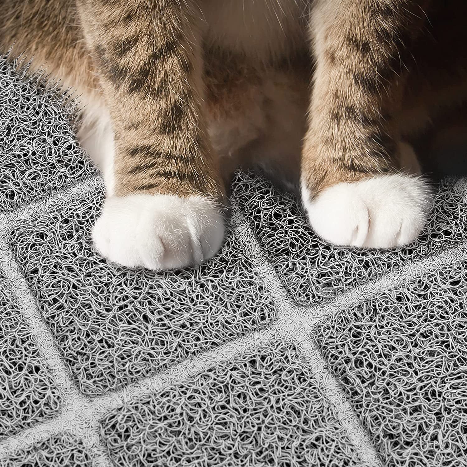 Premium Cat Litter Mat, Litter Box Mat with Non-Slip and Waterproof Backin - BIG FRENCHIES