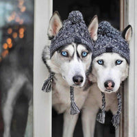 Autumn Winter Warm Knitted Pet Hats With Fluffy Ball - BIG FRENCHIES