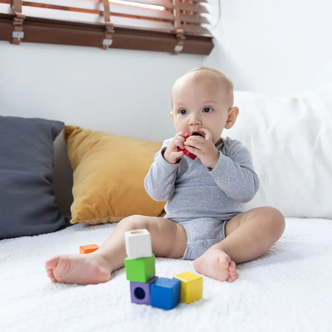 Activity Blocks - BIG FRENCHIES