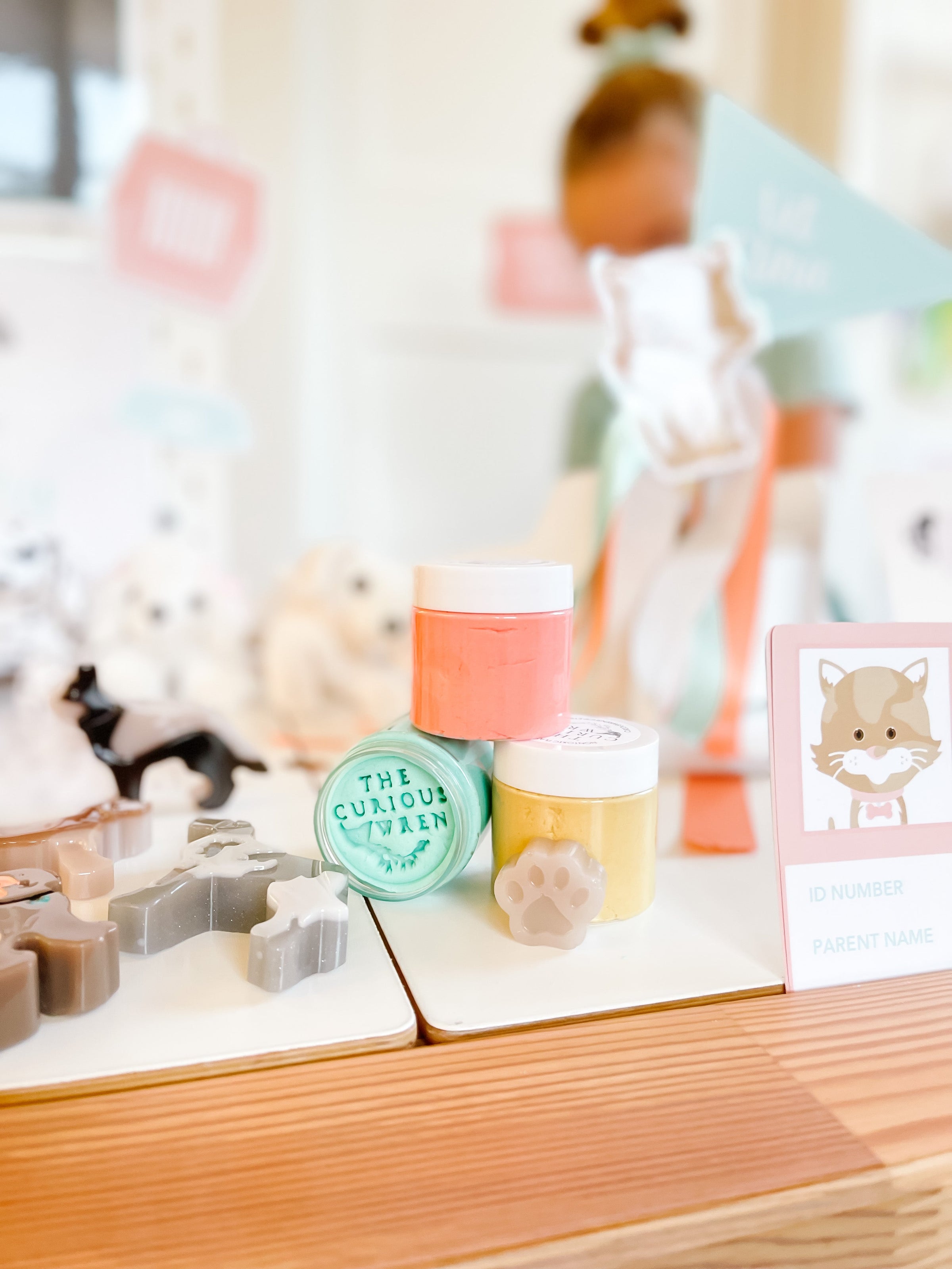 Vet Clinic Dramatic Play