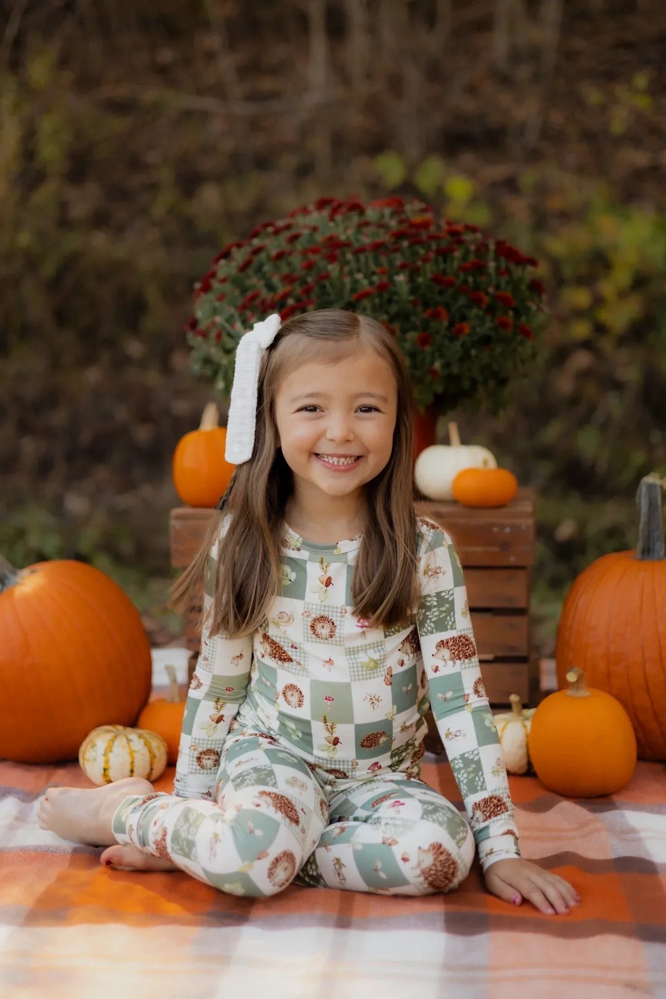 Harvest Hedgehogs 2pc Bamboo Pajamas - BIG FRENCHIES