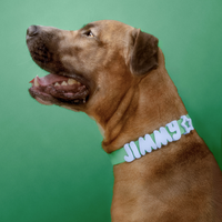 Waterproof Dog Collar - BIG FRENCHIES