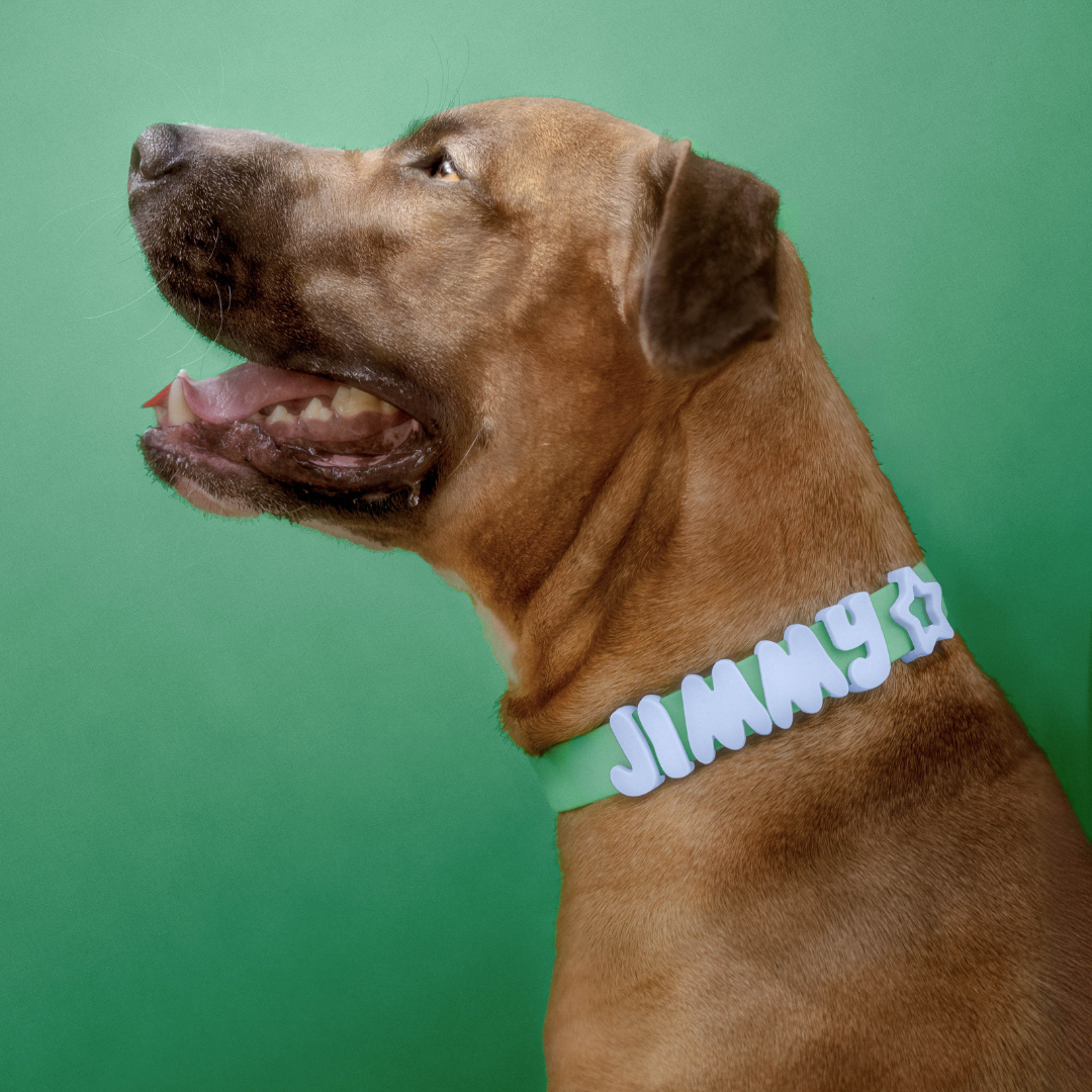 Waterproof Dog Collar - BIG FRENCHIES