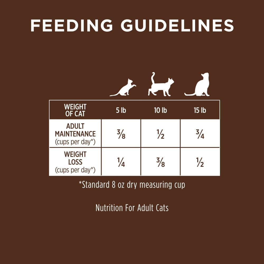 Natural Dry Cat Food, 10 Lb. Bag - BIG FRENCHIES