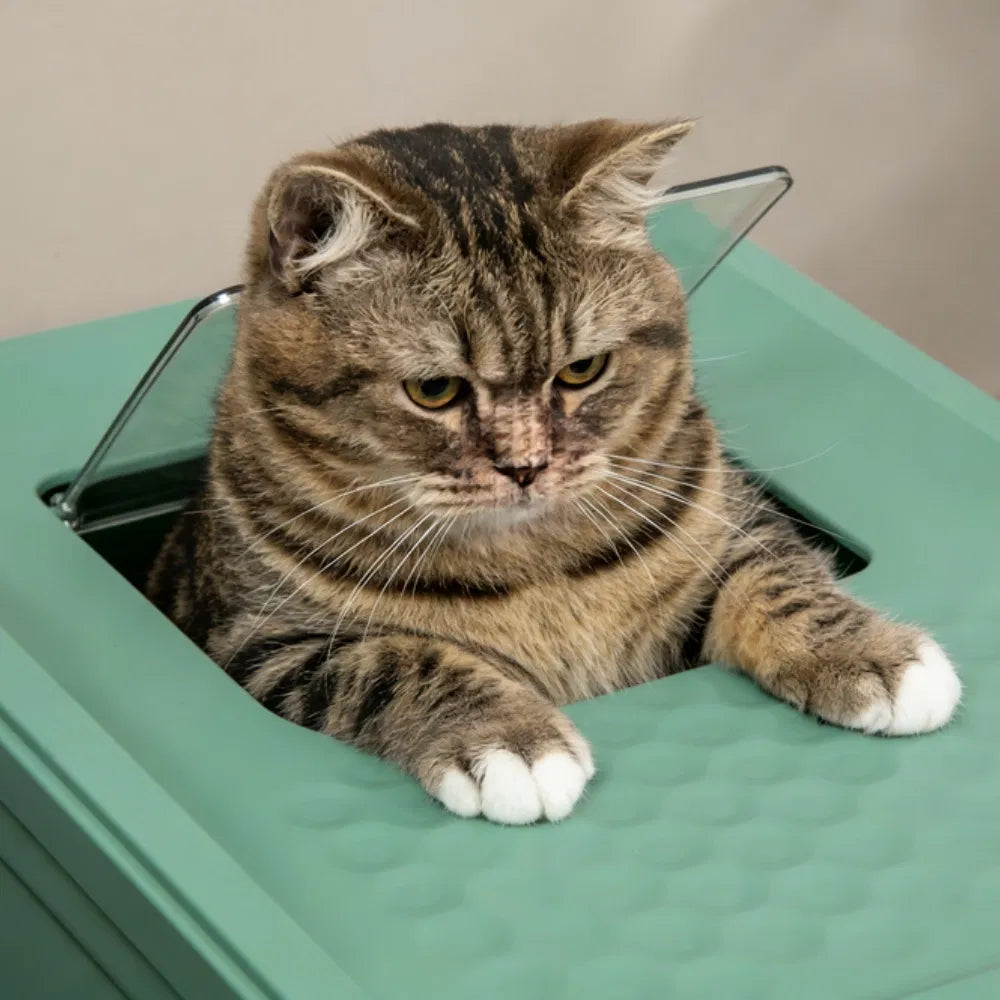 Stainless Steel Enclosed Litter Box for Cats