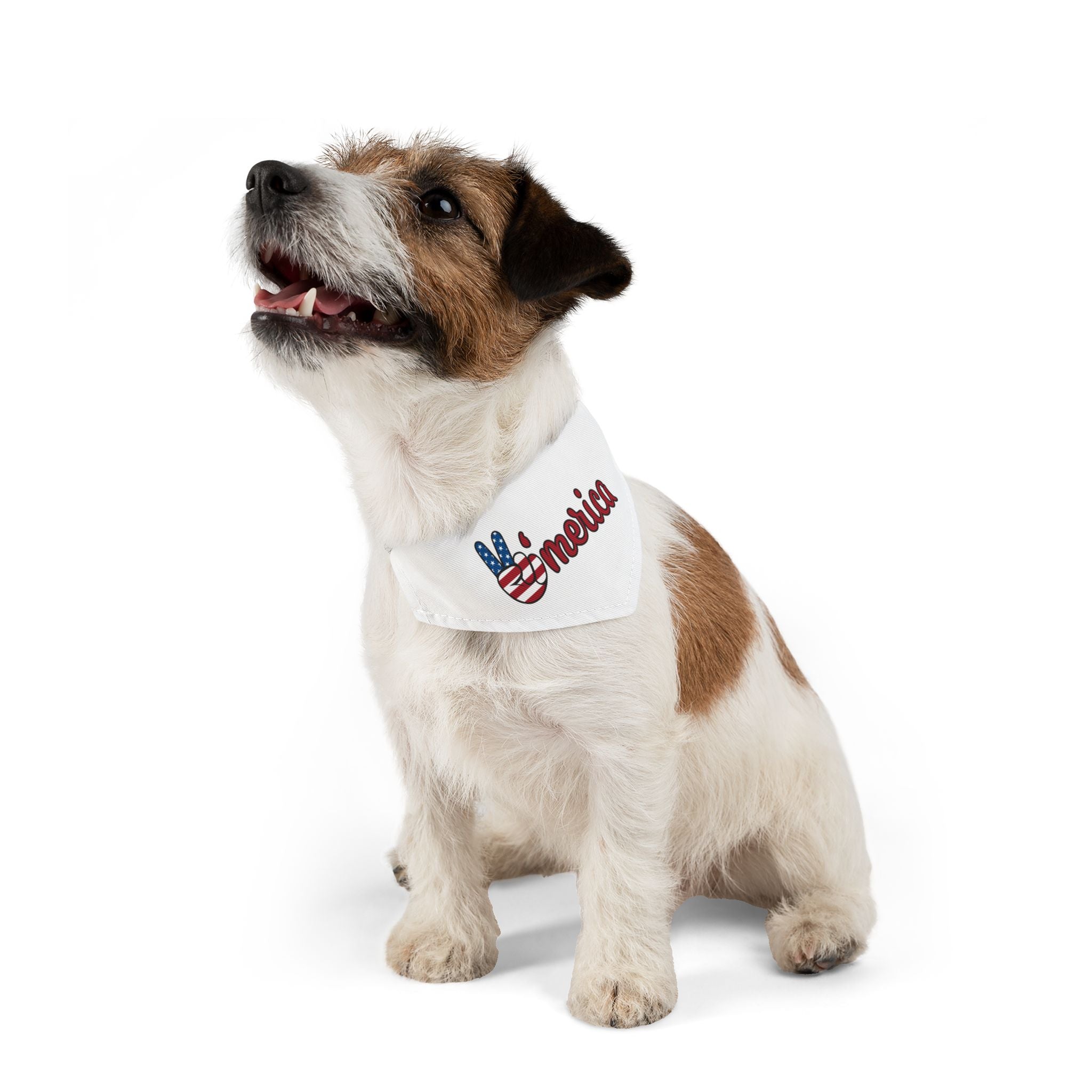 Stars and Stripes Patriotic Dog Bandana - BIG FRENCHIES