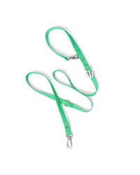 Waterproof Dog Leash - 5ft - BIG FRENCHIES
