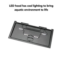 20 Gallon aquarium Starter Kit with LED Lighting - BIG FRENCHIES