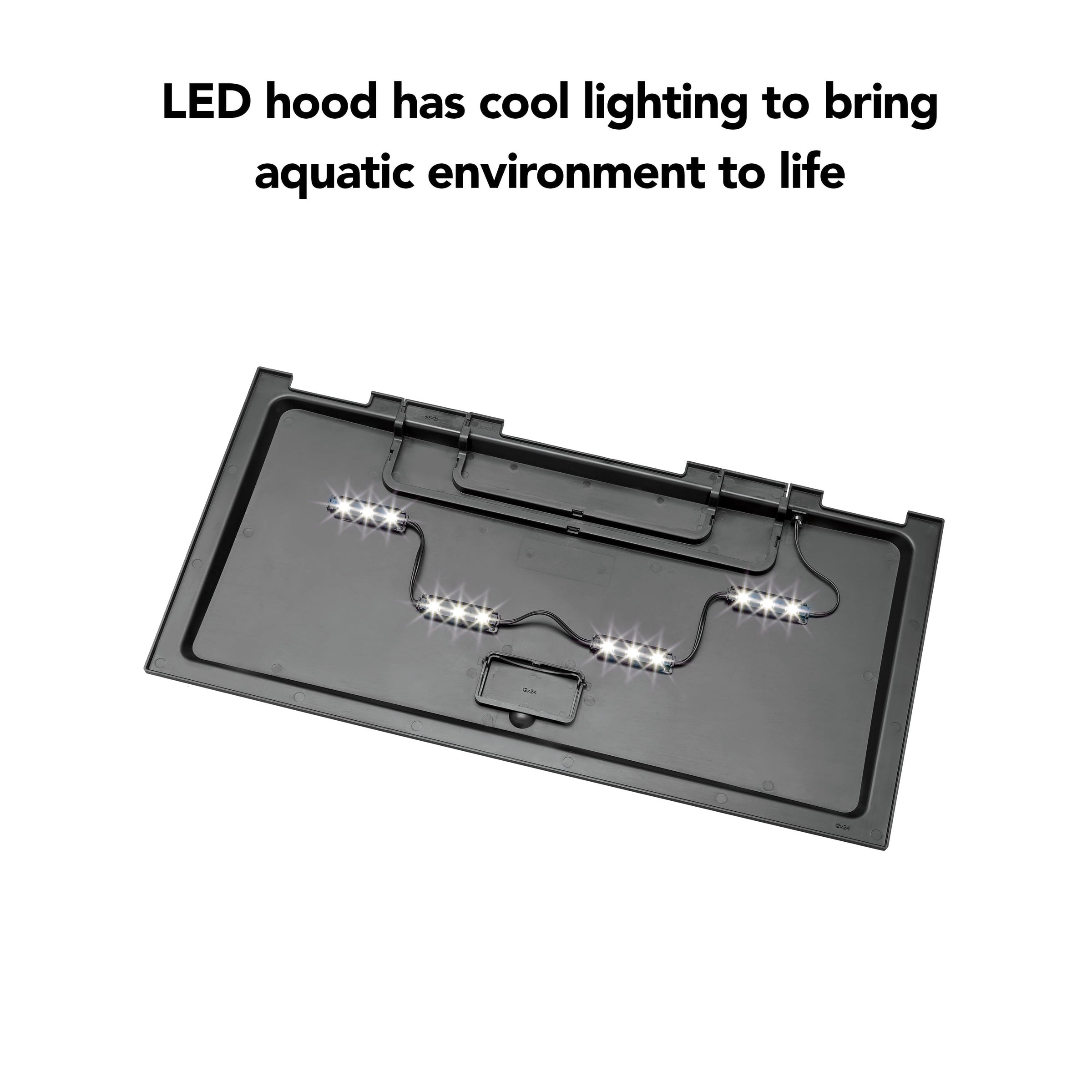 20 Gallon aquarium Starter Kit with LED Lighting - BIG FRENCHIES