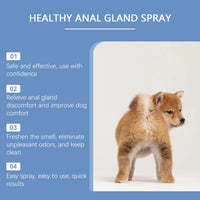 Healthy Gland Spray For Dogs, Dog Gland Care Spray For Infection Prevention, Reduce Itching Swelling & Bad Odor, Pet Gla