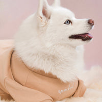 “Spoiled” Mock Neck Shirt - Miss U a Latte