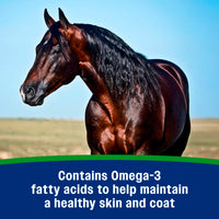 Farnam Equine Weight Builder 7.5 lbs Weight Support Supplement for Horses