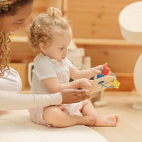 First Shape Sorter - BIG FRENCHIES