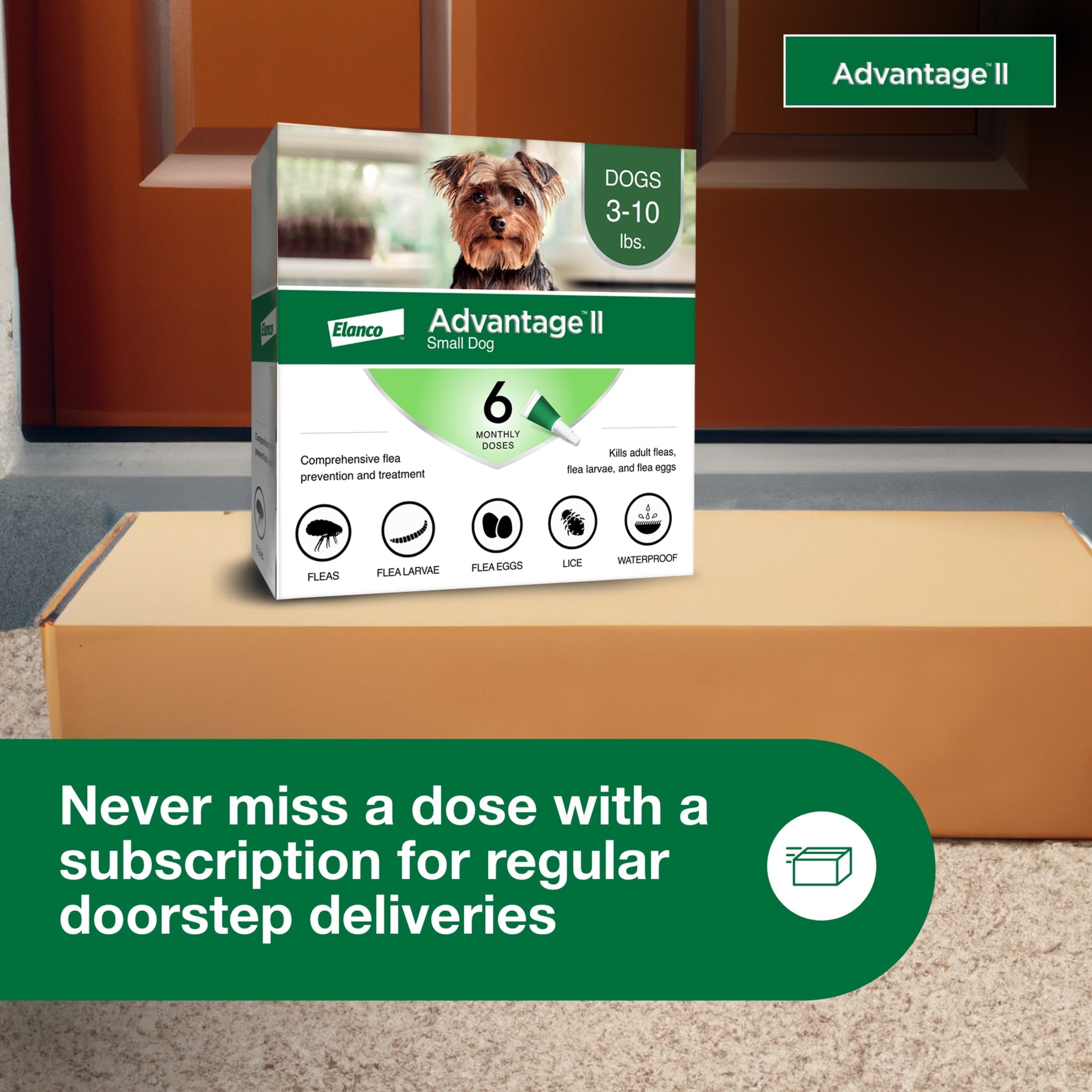 Vet-Recommended Flea Prevention for Small Dogs 3-10 Lbs, 6-Monthly Treatments - BIG FRENCHIES