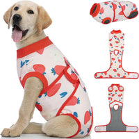 Female Dog Recovery Suit After Spay, XS–2XL