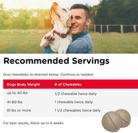 Advanced Strength Hip & Joint Chewable Dog Supplements - BIG FRENCHIES