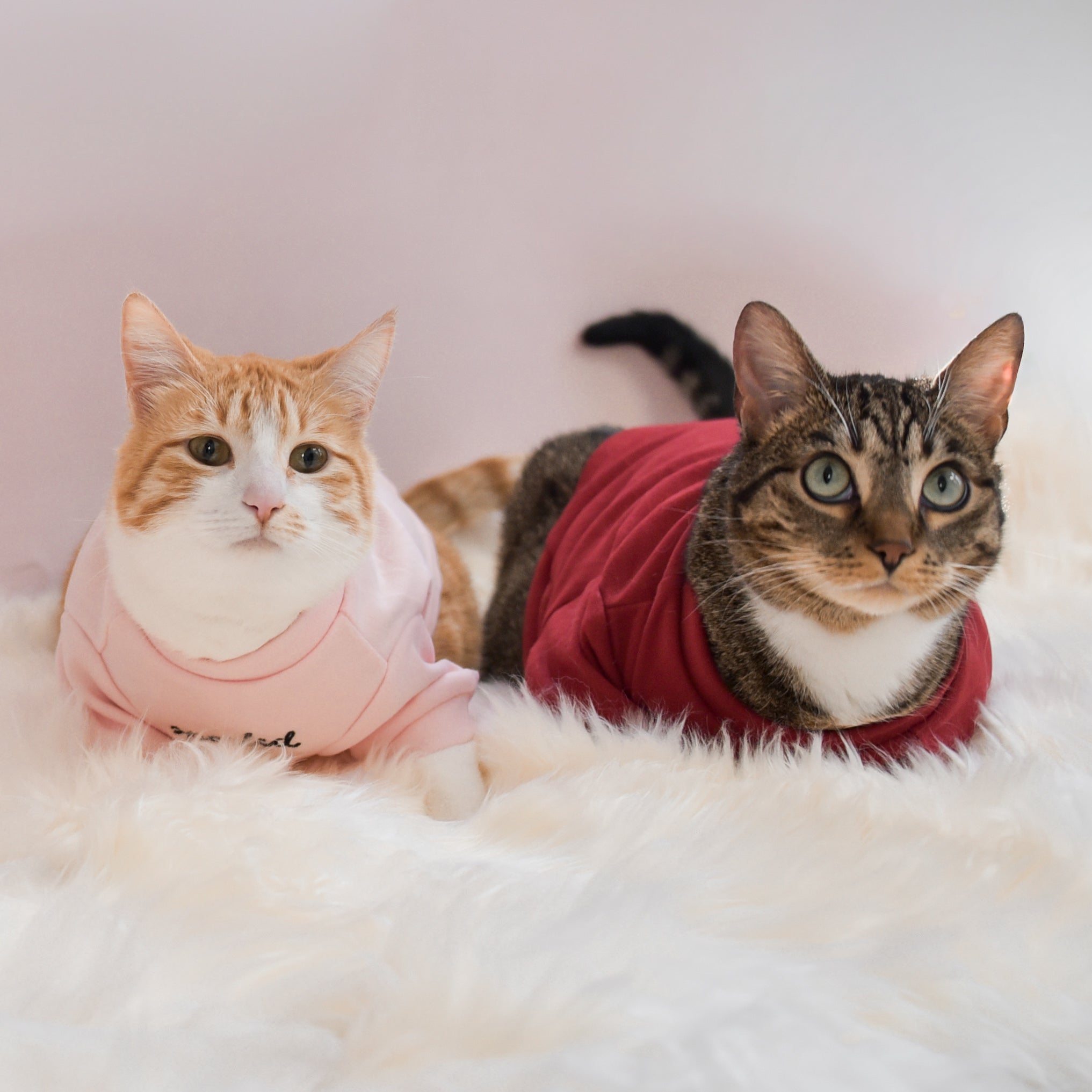 “Spoiled” Mock Neck Shirt - Lucky in Love