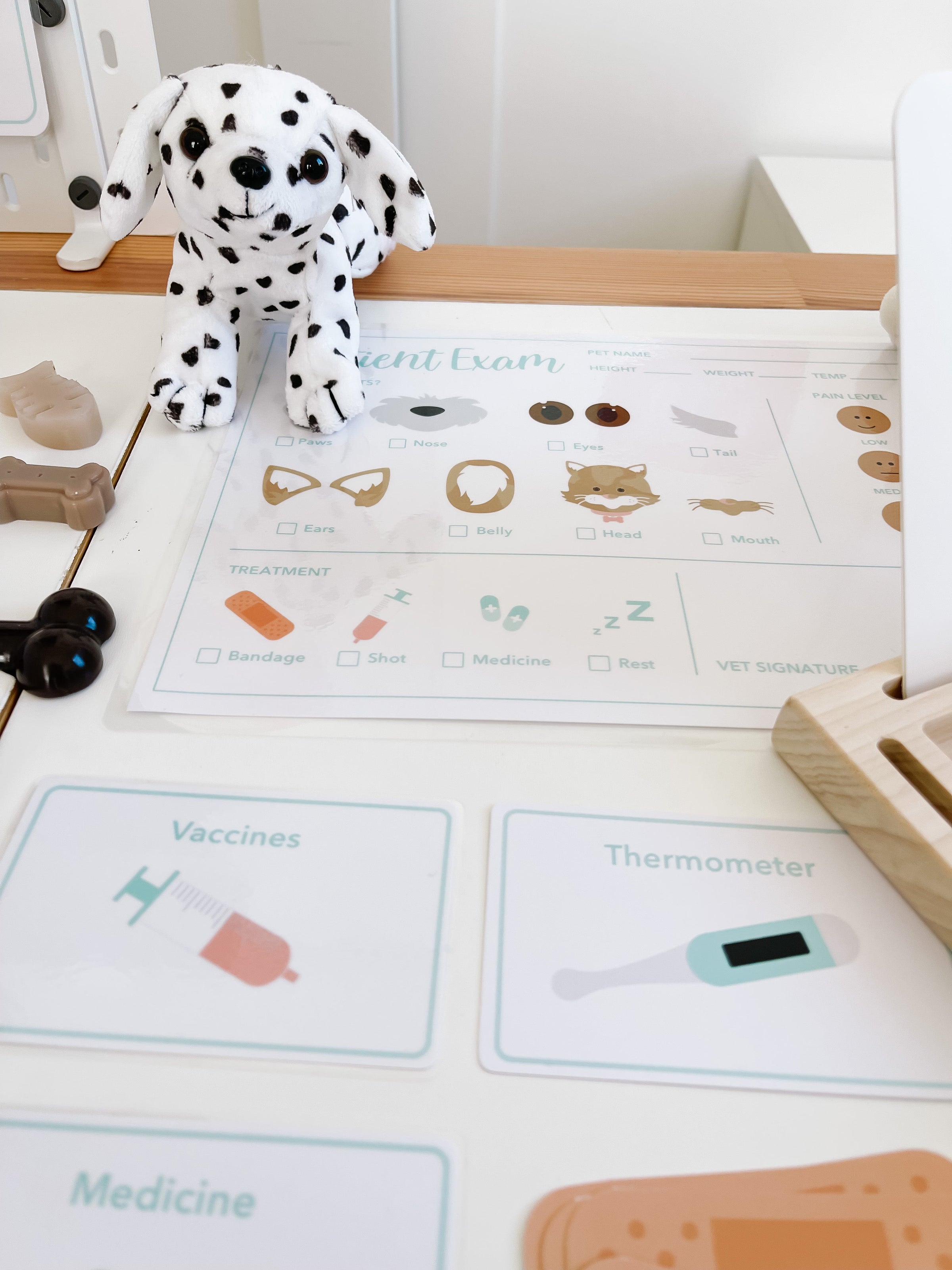 Vet Clinic Dramatic Play