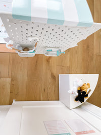 Vet Clinic Dramatic Play