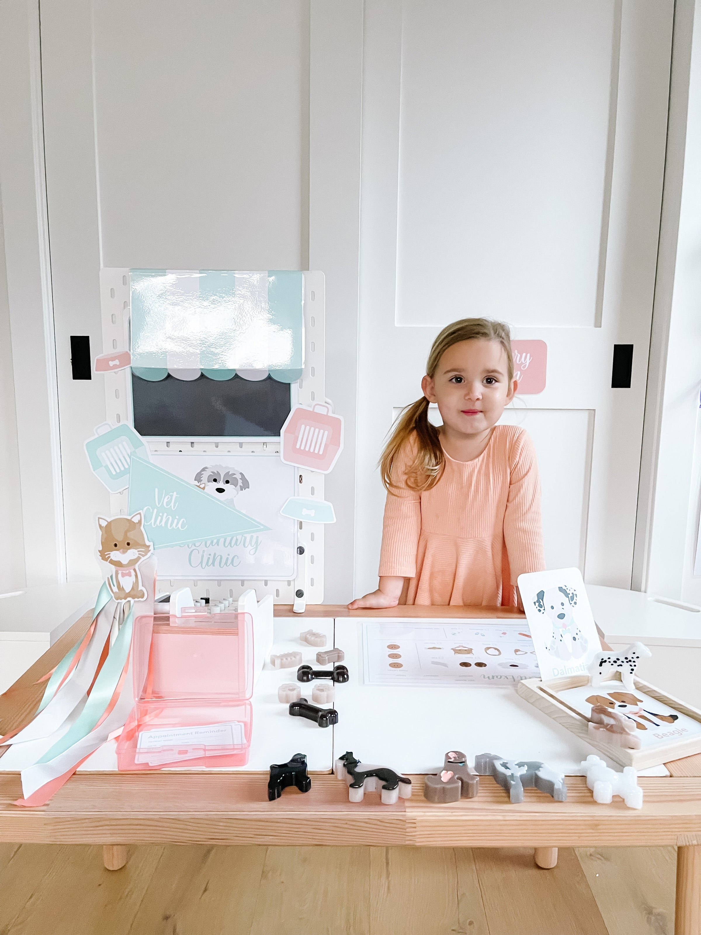 Vet Clinic Dramatic Play