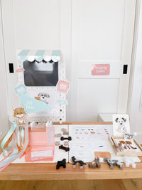 Vet Clinic Dramatic Play