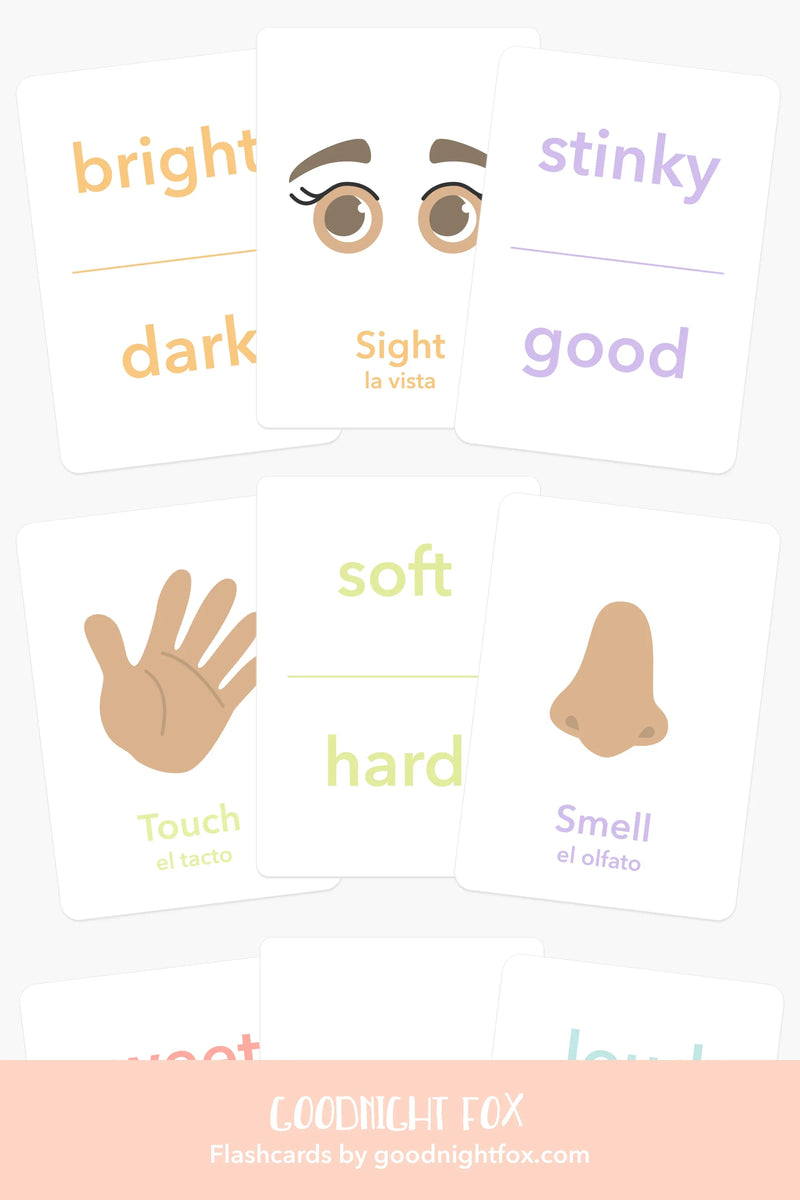 5 Senses Flashcards - BIG FRENCHIES
