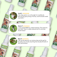 Oral Care Spray