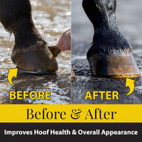 Fiebing's Hoof Dressing Treat Horse Hooves and Brittle Feet 32 oz.