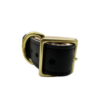 Plain Leather Dog Collar - BIG FRENCHIES