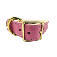 Plain Leather Dog Collar - BIG FRENCHIES
