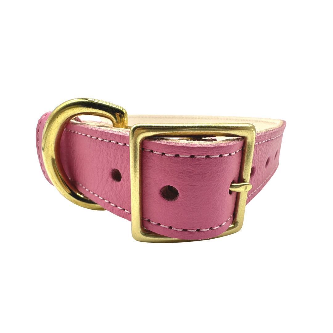 Plain Leather Dog Collar - BIG FRENCHIES