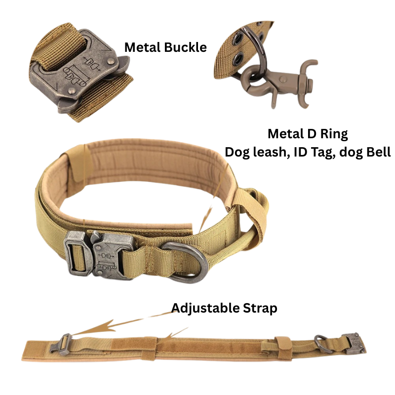Large Dog Harness & Leash Set – Training Vest for Big Breeds - BIG FRENCHIES
