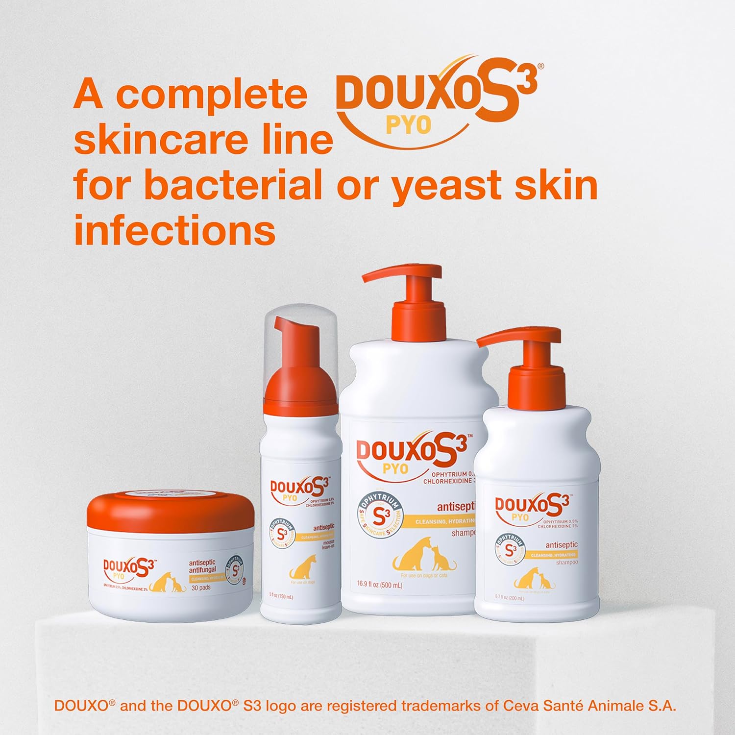 Douxo S3 PYO Mousse 5.1 oz Dogs & Cats Antibacterial Antifungal Skin Care