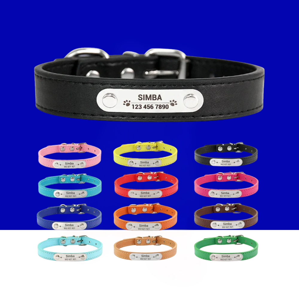 Personalized Dog Collar with Name Engraving – Anti-Lost PU Leather Collar for Dogs and Cats - BIG FRENCHIES