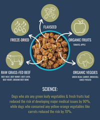 PREMIUM RAW FREEZE DRIED DOG FOOD BEEF